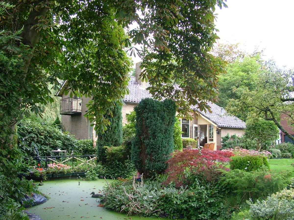 Bed & Breakfast Elbahof, Goed En Goedkoop! *