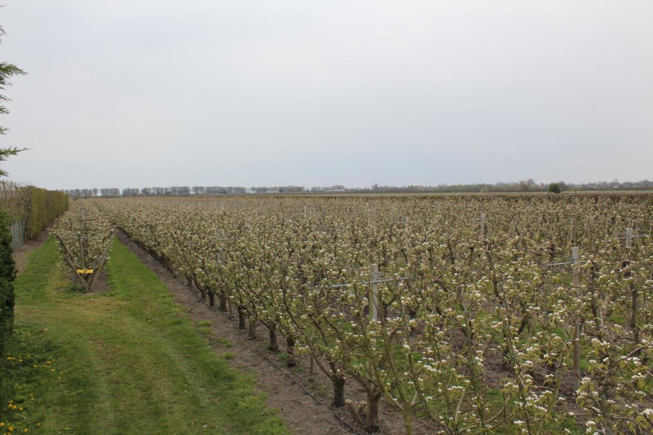 Bed & Breakfast Elbahof, Goed En Goedkoop! *