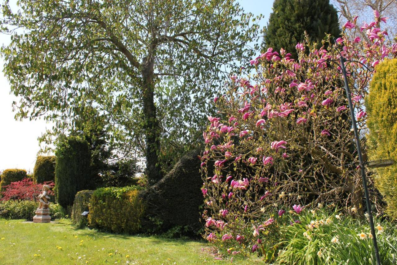 Bed & Breakfast Elbahof, Goed En Goedkoop! Hem